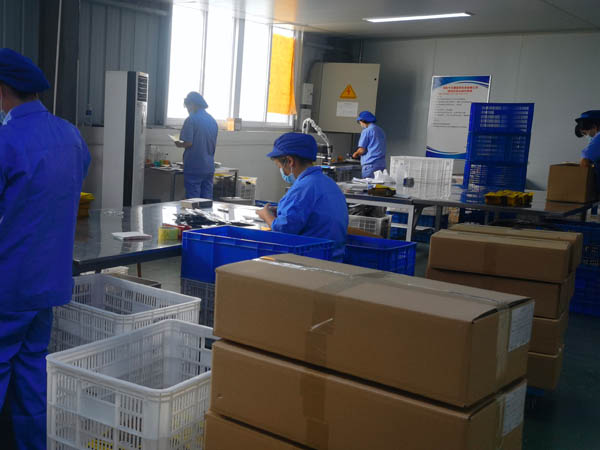 哪里有膏藥加工廠？膏藥貼牌廠家哪家好？